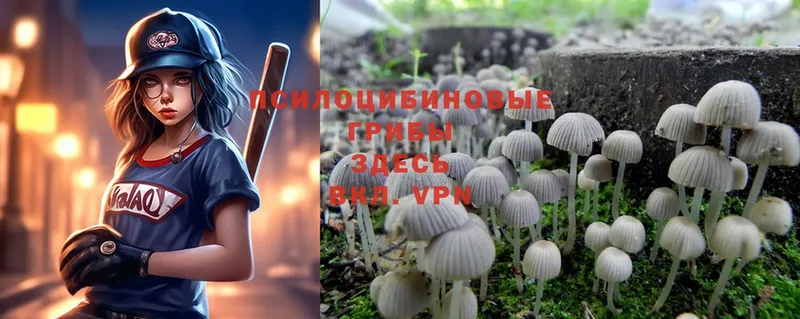 Псилоцибиновые грибы Psilocybine cubensis  omg   Нестеровская  дарк нет телеграм  наркошоп 